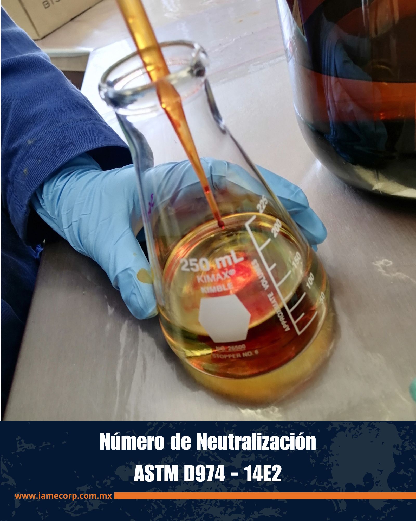 Imagen 8