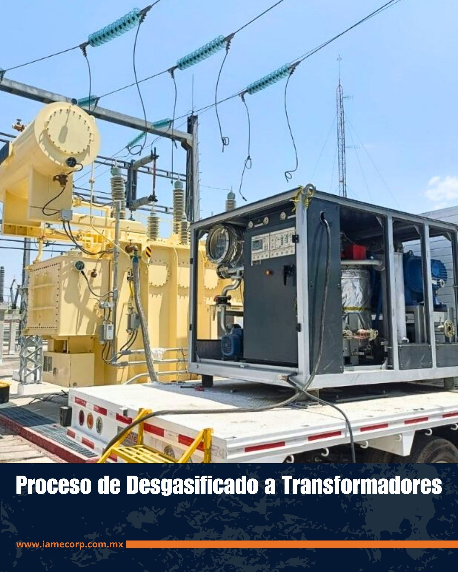 Imagen 10