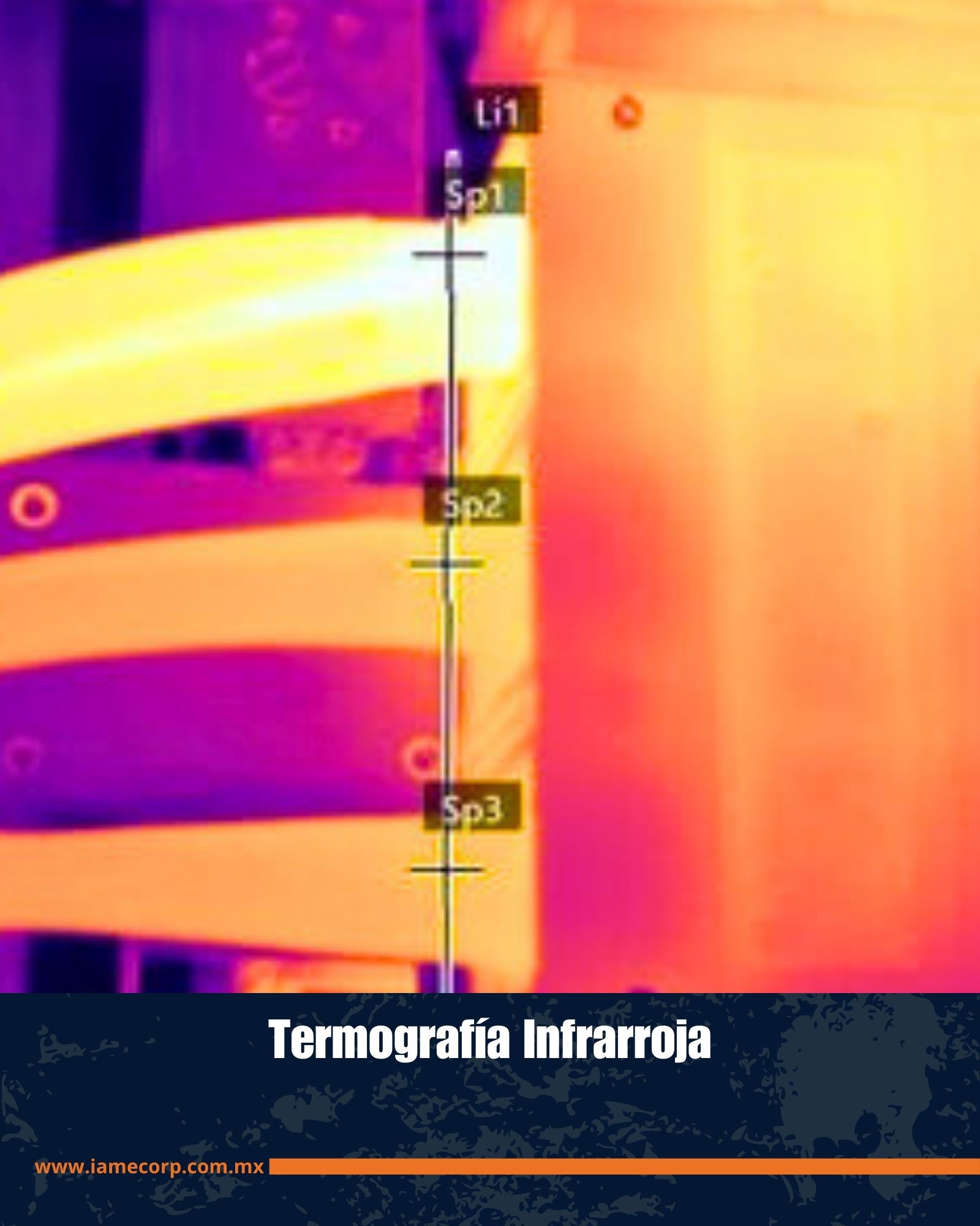 Imagen 13