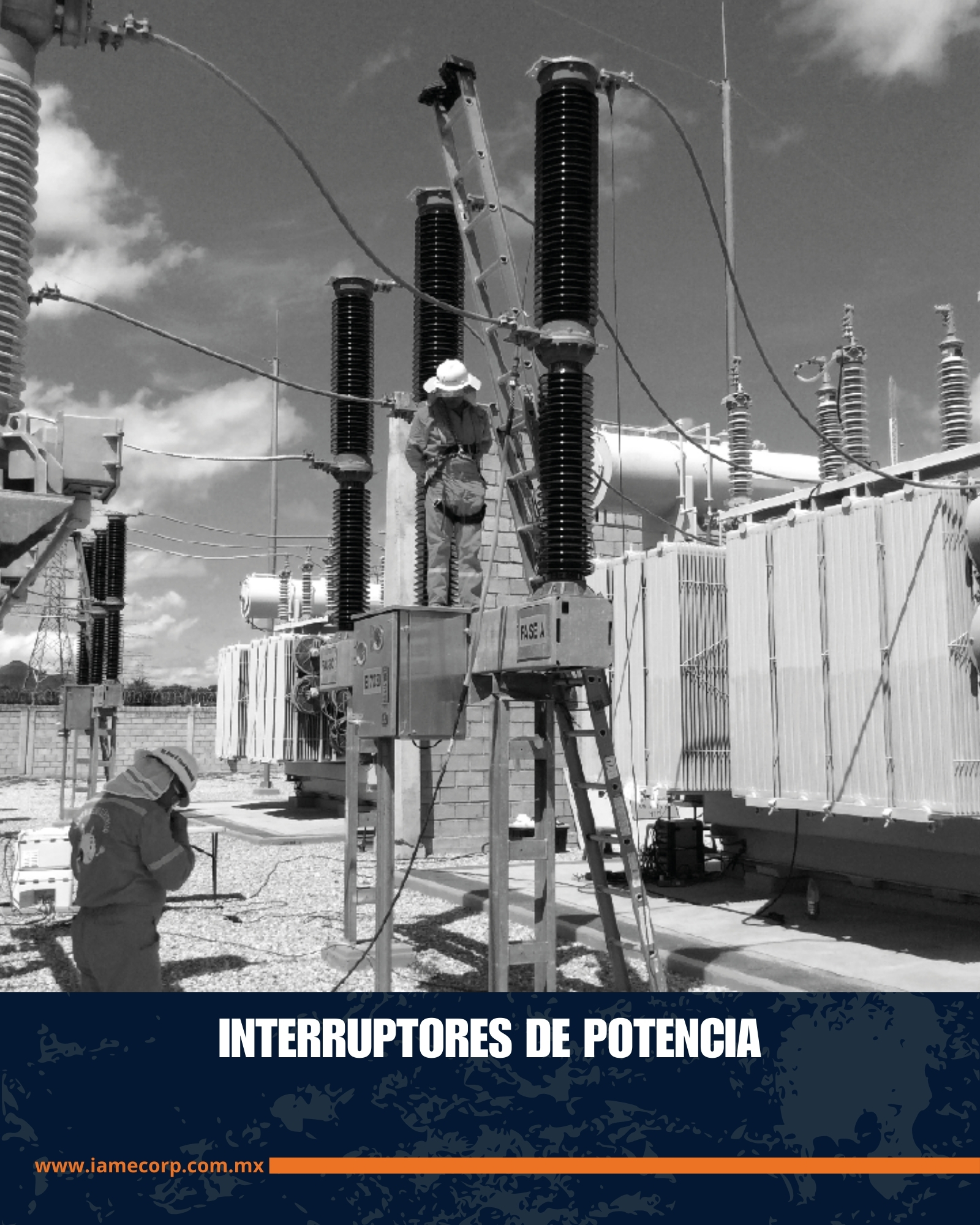 Imagen 25