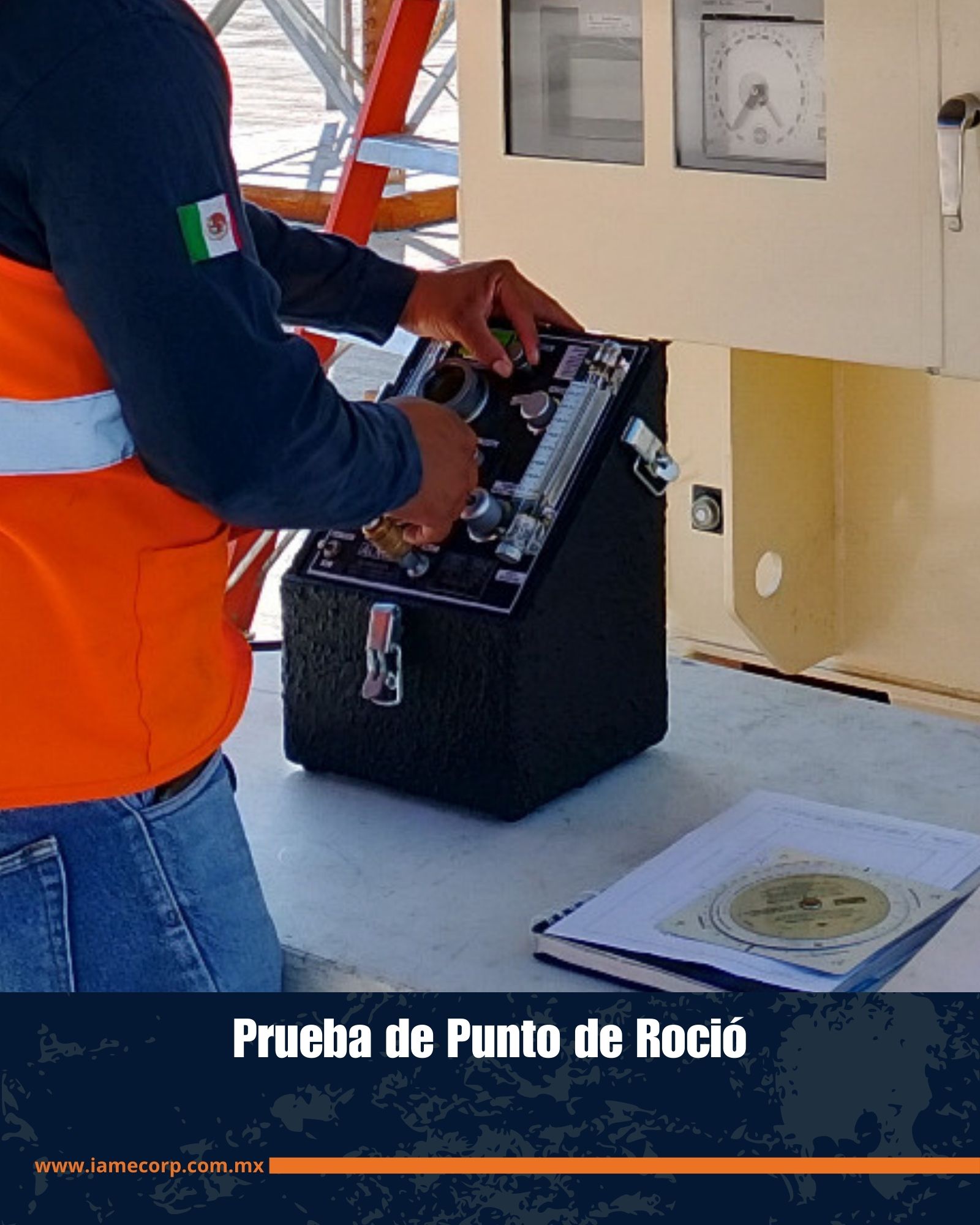 Imagen 5