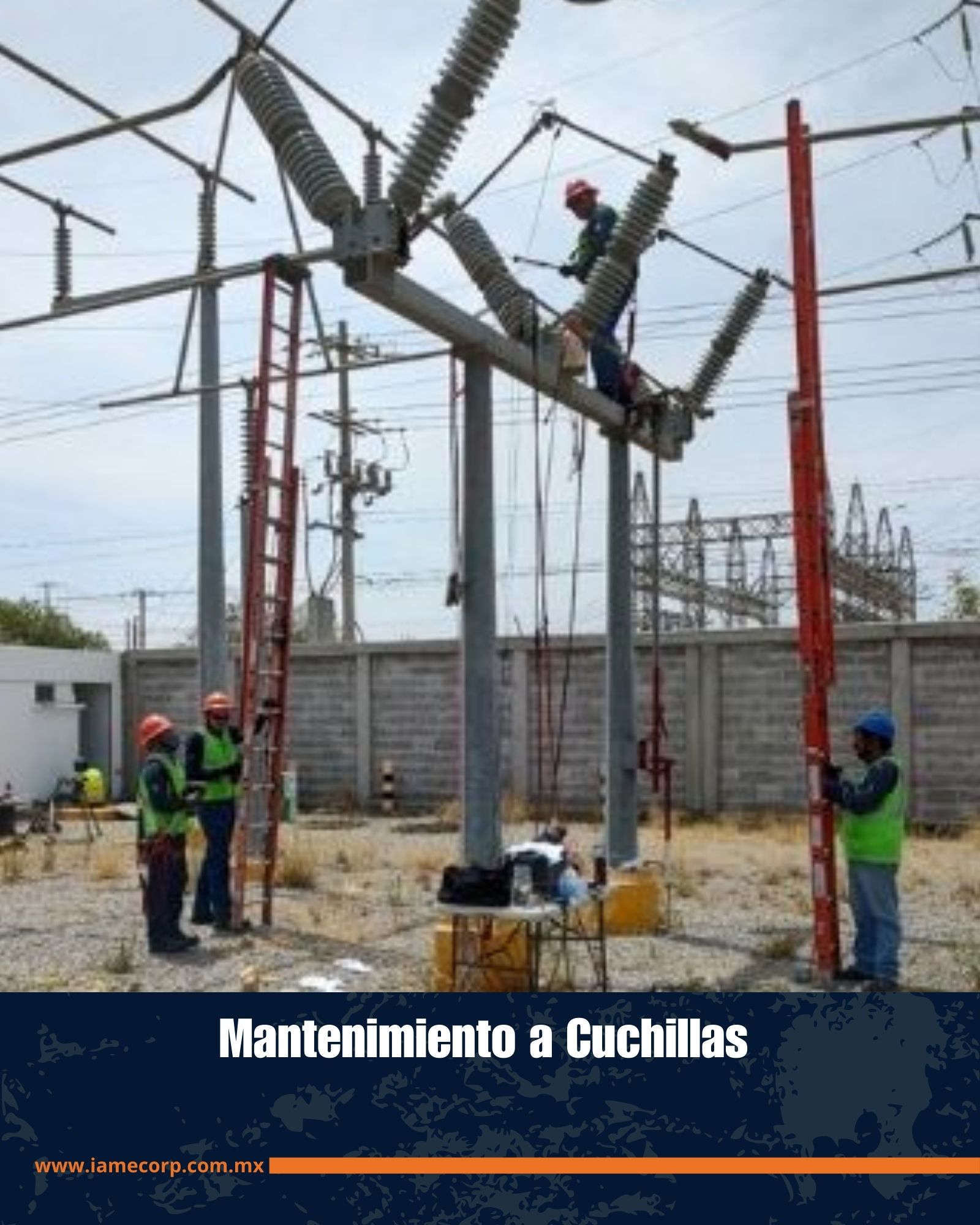 Imagen 7